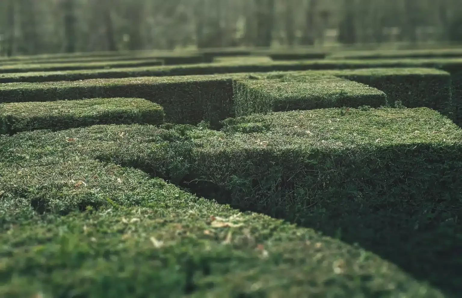 A labyrinth that reflects the difficulty of managing the double accounting of scope 3 emissions