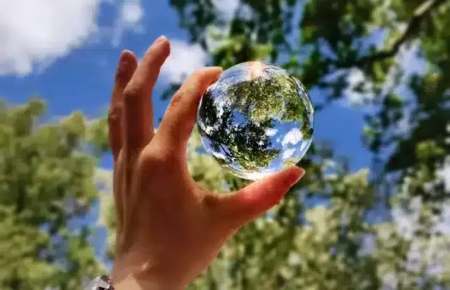 a glass bubble in front of trees representing CSRD transparency