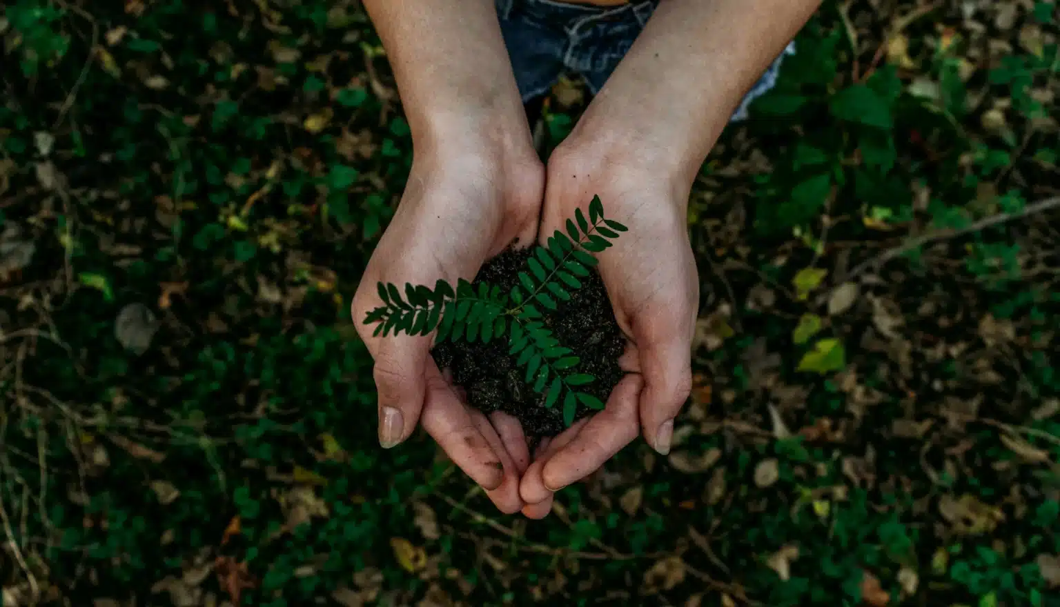 Carbon footprint assessment