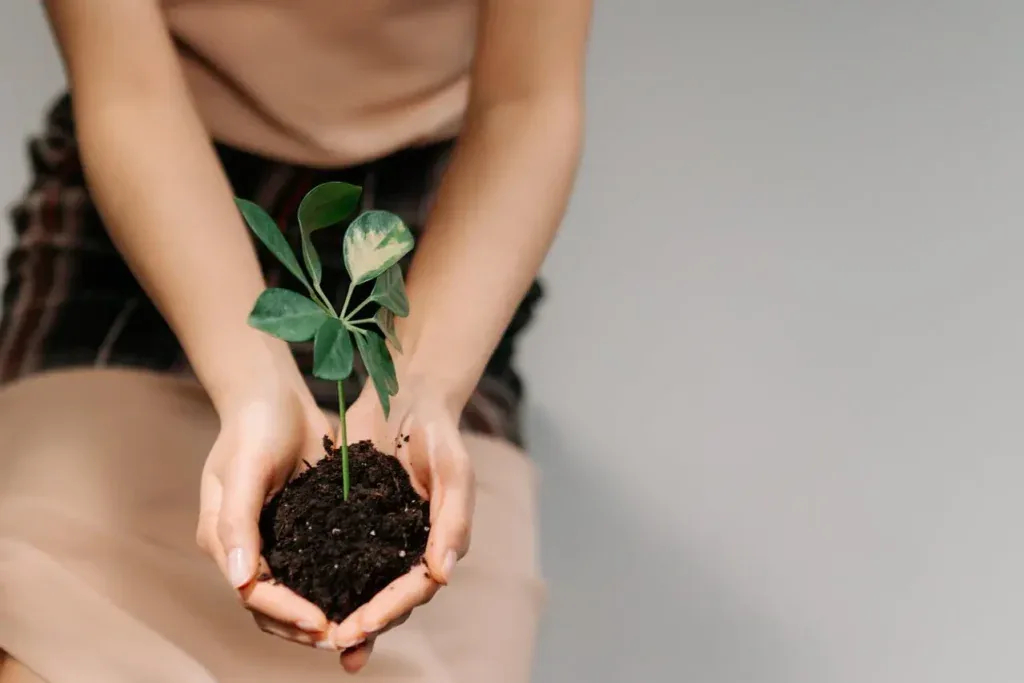 Qu’est-ce que la transition écologique ?