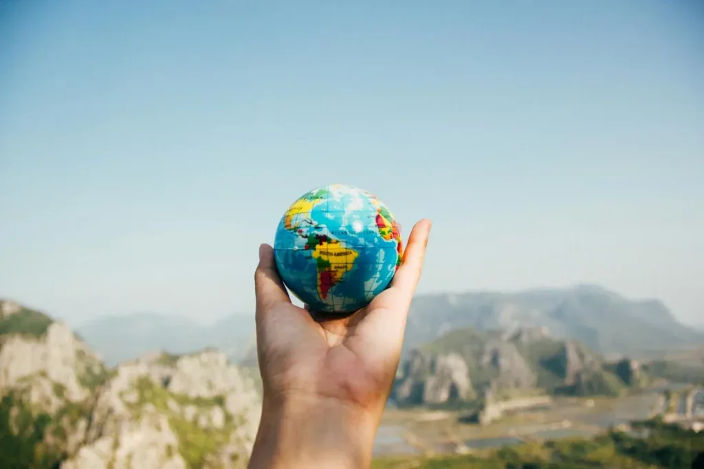 Carbon consulting firms: complete guide