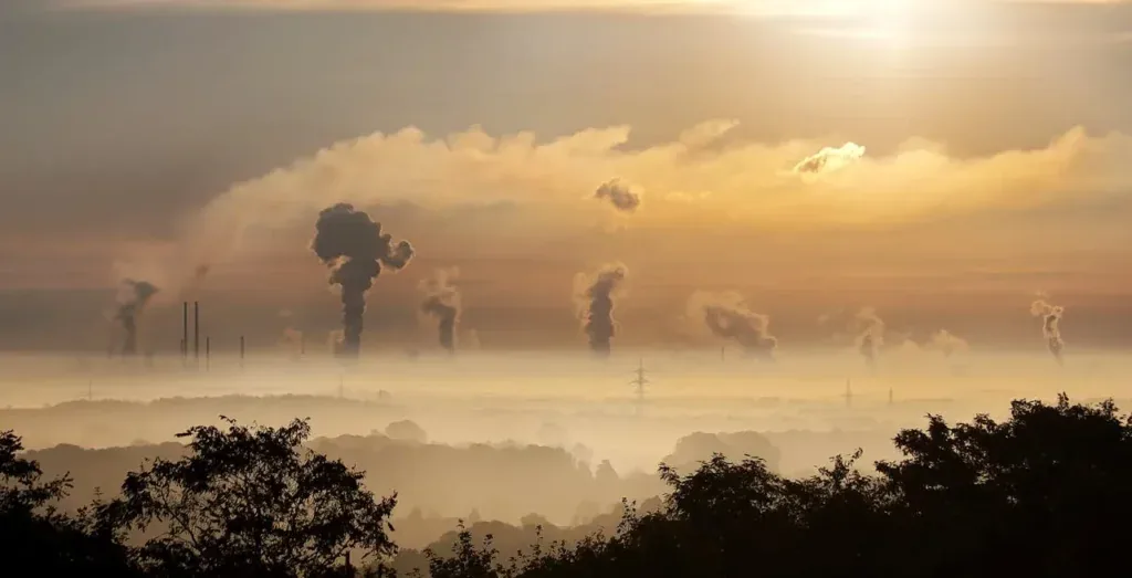 Carbon: role, impact and environmental issues