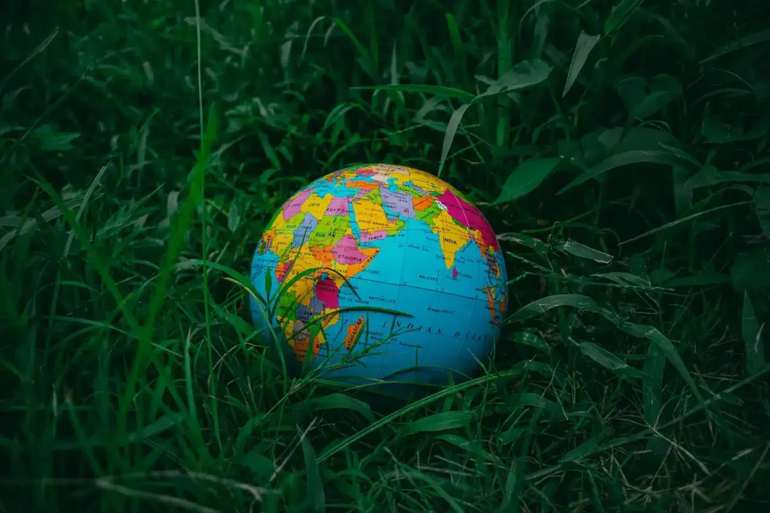How is a carbon footprint assessed?