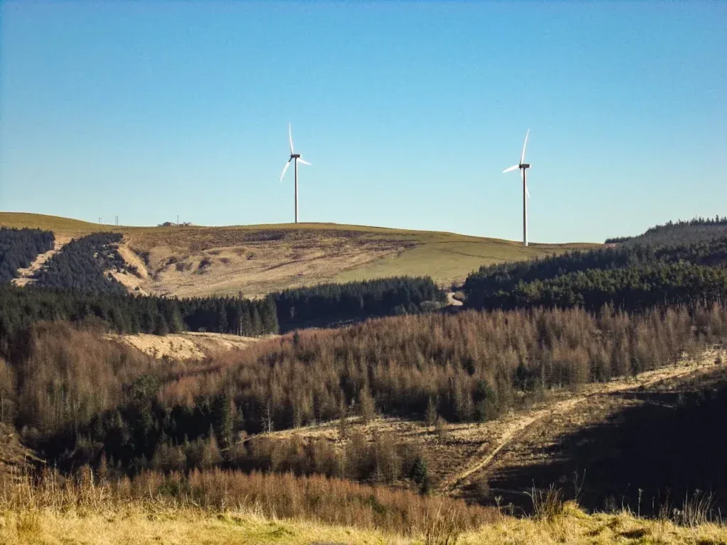 Company: How to Reduce Carbon Emissions?