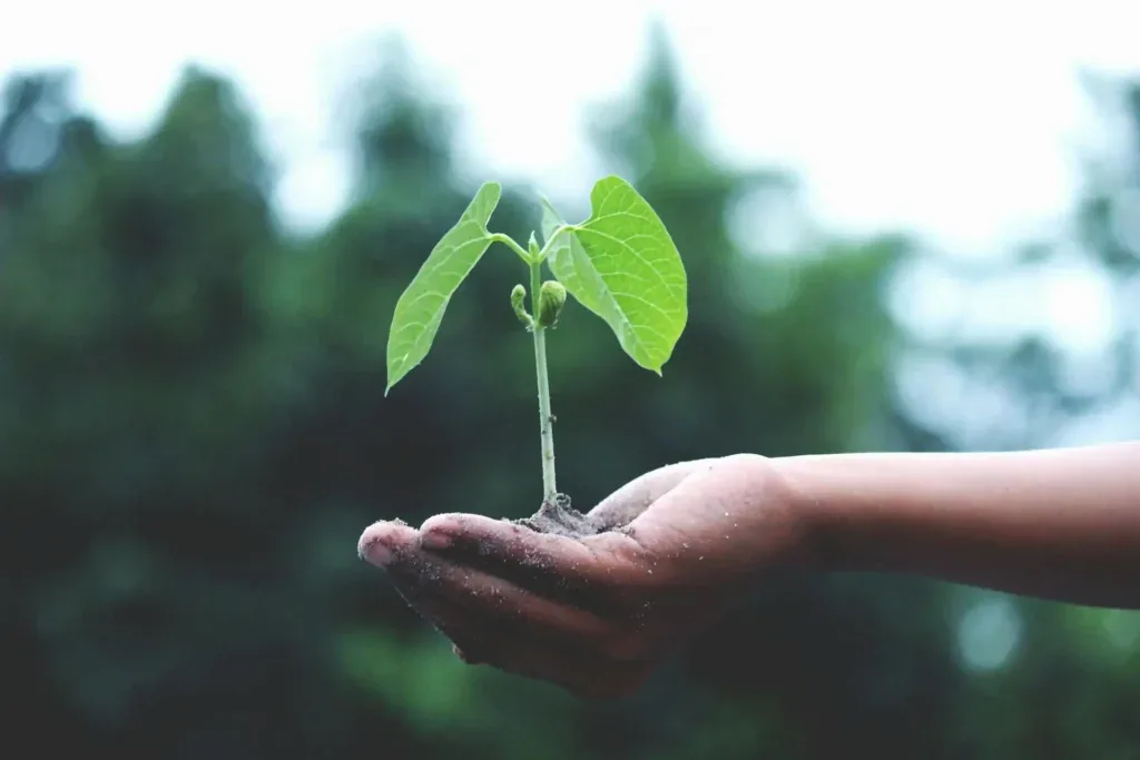 Carbon footprint provider : how to make the right decision in 2026 ?