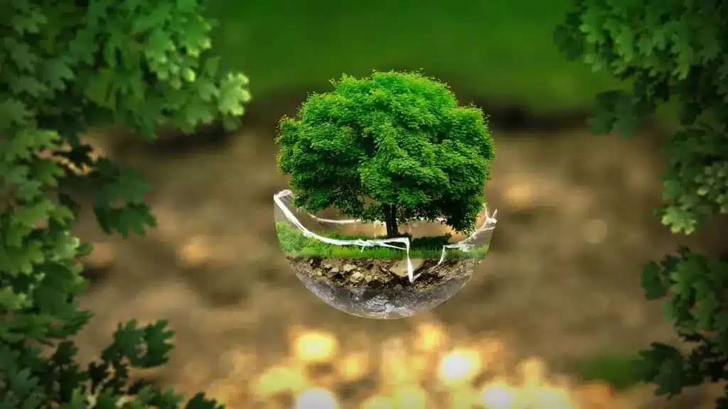 Greenwashing : définition & exemples