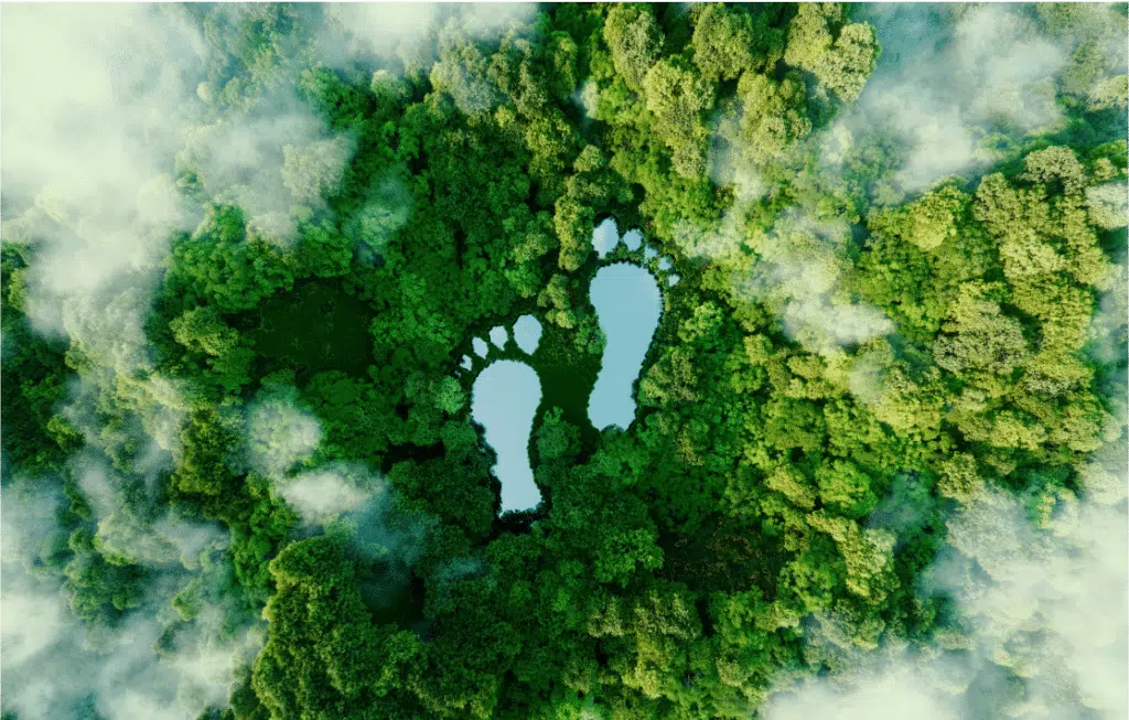 Understanding the environmental Footprint: An Essential Guide