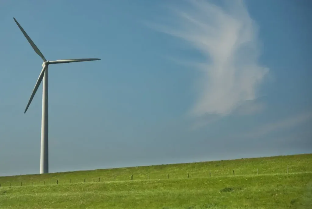 Scope 4: The Net Zero Initiative Guide