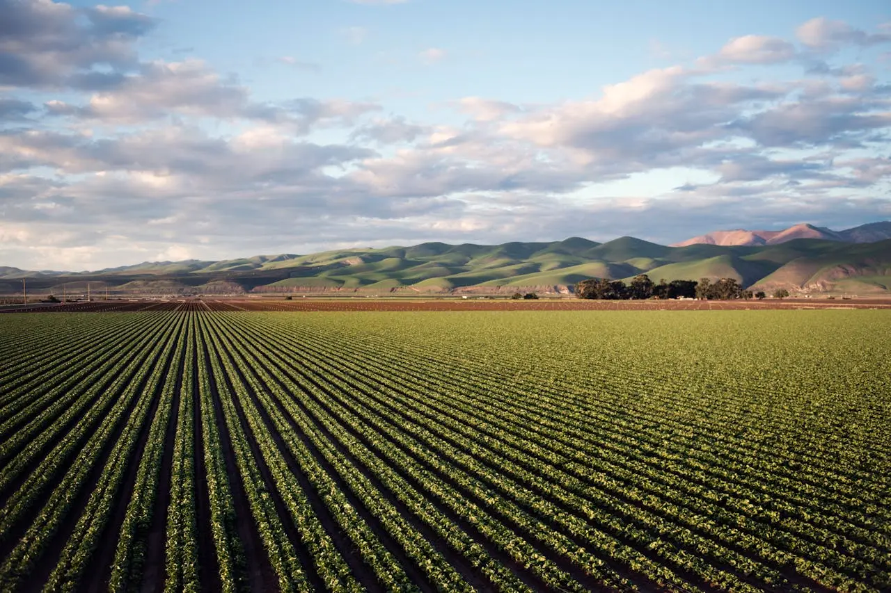 Sustainable agriculture: for responsible food