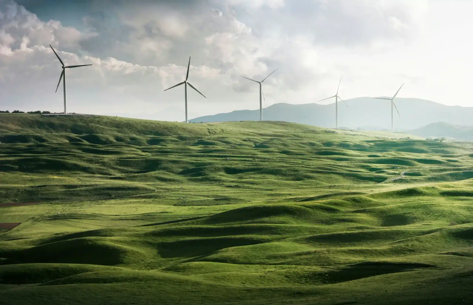 wind turbines in a field demonstrating the advantages of using carbon footprint calculator