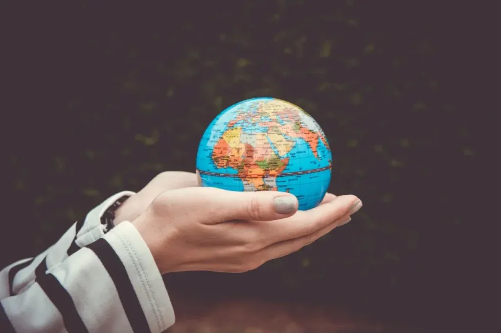 Carbon Neutral Label: Definition and Challenges