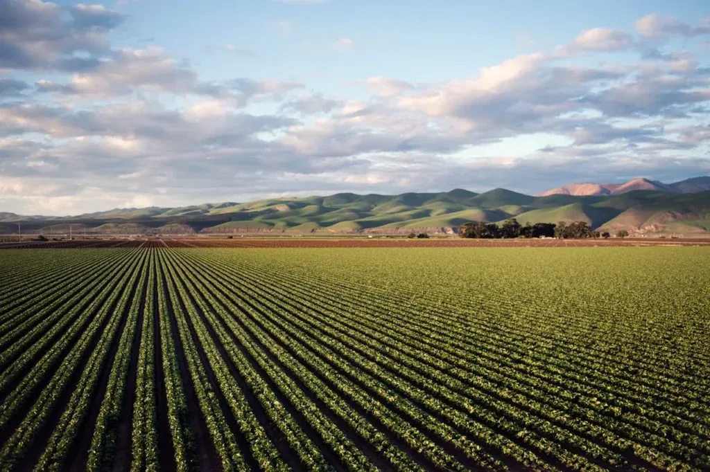 Decarbonizing Agriculture: Definition and Practices