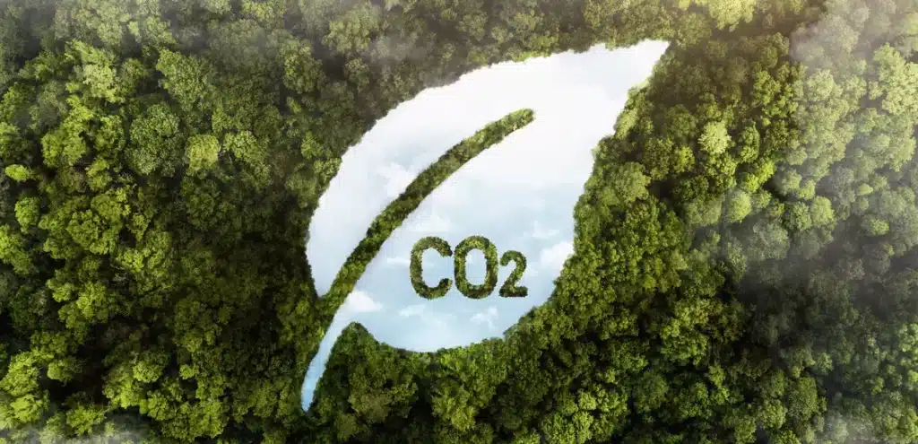 Carbon Accounting: What are the objectives and challenges?