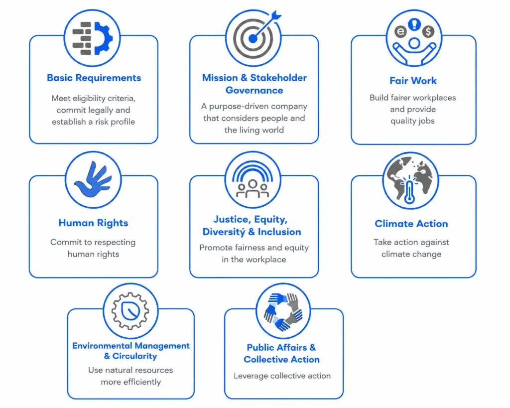 7 B Corp standards