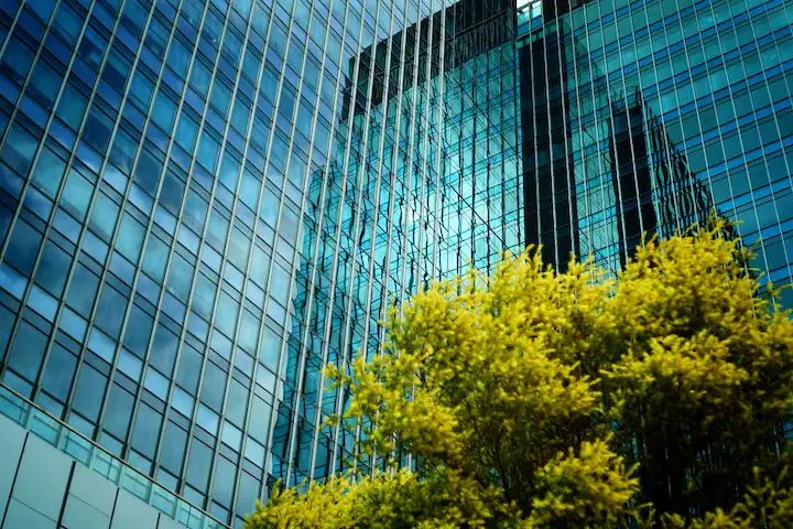 Modern blue glass office building with a green tree in the foreground