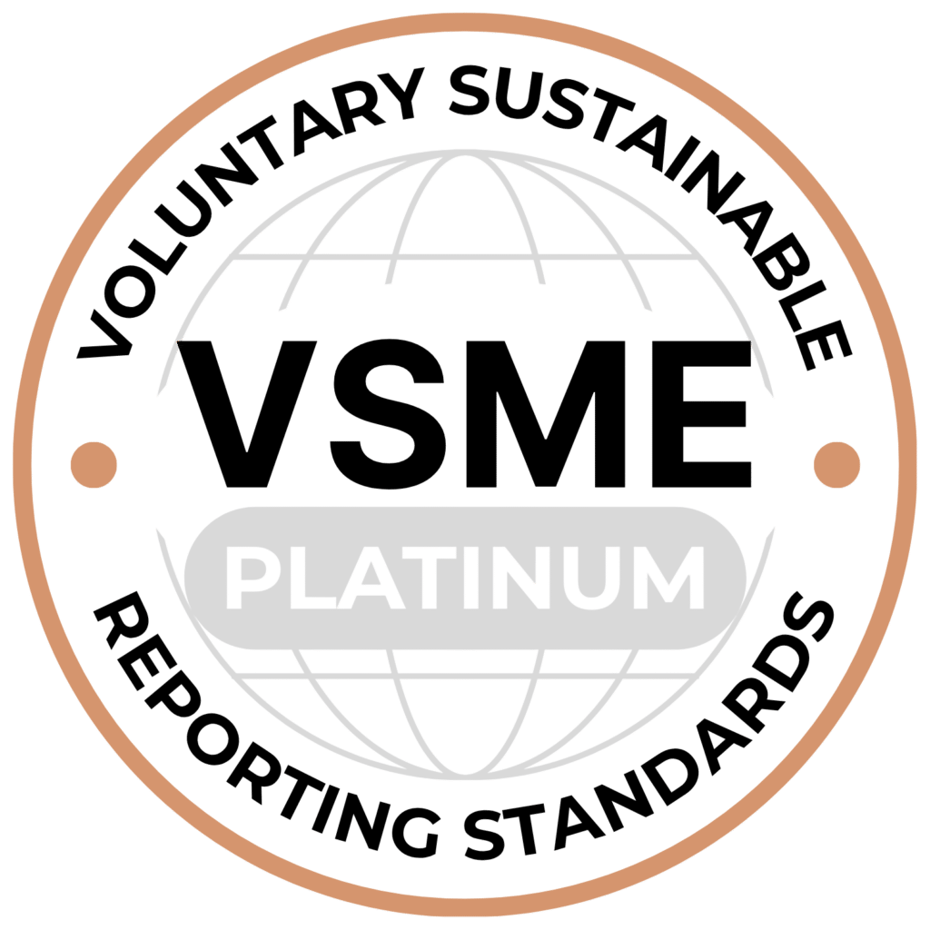 VSME Platinum medal
